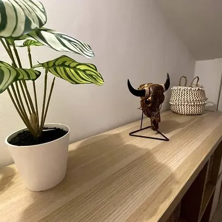 Magnifique Duplex Avec Terrasse Proche De La *