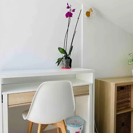 Magnifique Duplex Avec Terrasse Proche De La